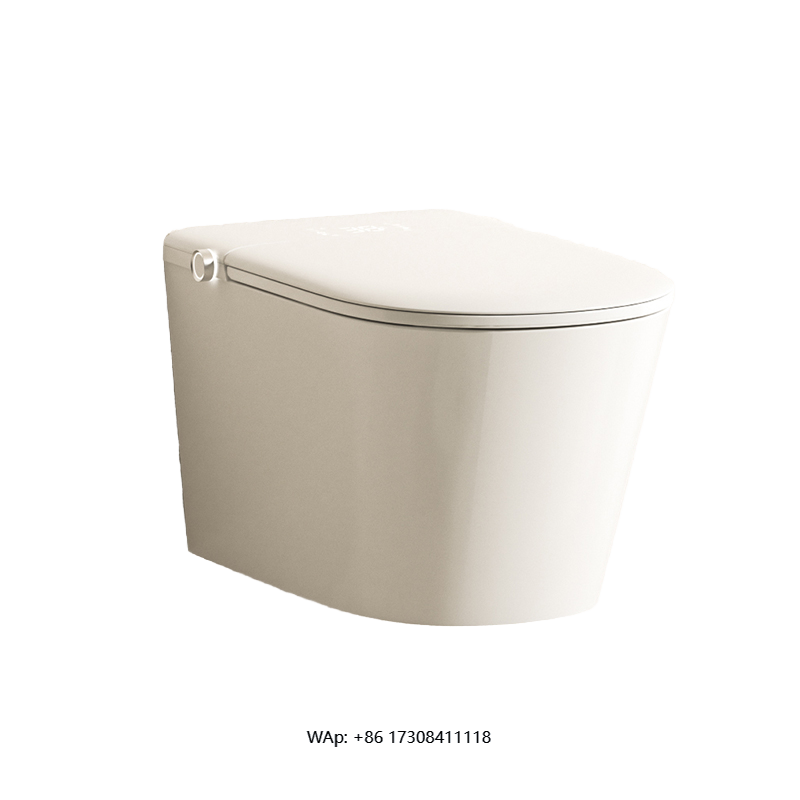 Automatic Wall Hung Smart Bide - Smart Accessories 리뷰 및 가격