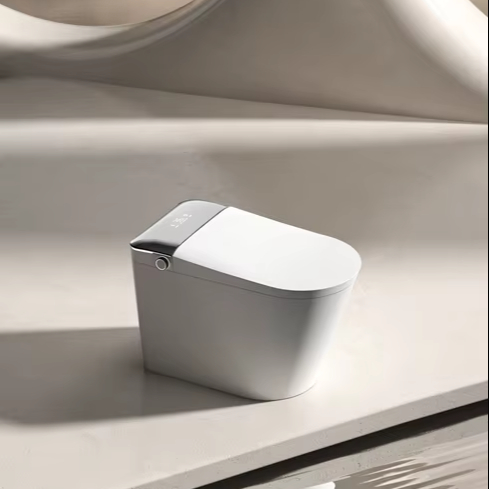 JM810L Intelligent WC Toilet S - Smart Accessories 리뷰 및 가격